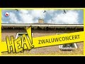 HEA!: Mooiste zwaluwconcerten