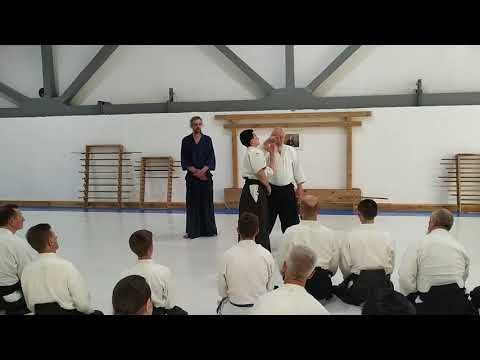 Shihan Stefan Benedetti's aikido seminar in Kiev May 2019