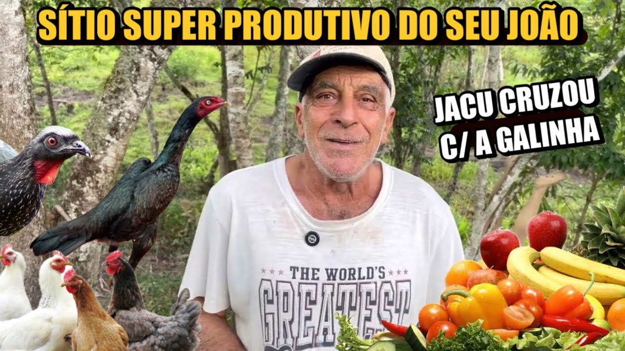 YOUR SUPER PRODUCTIVE JOÃO'S SELF-SUFFICIENT SITE