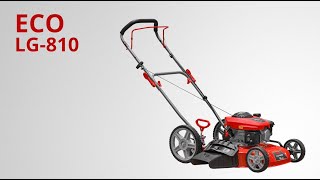 Gasoline lawn mower ECO LG-810