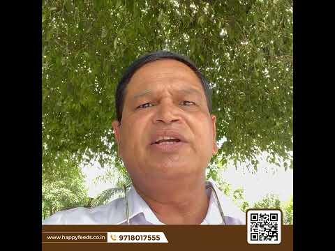 2mm aquarium fish food, packaging type: loose, protien conte...