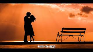 I Don&#39;t Have a Heart - James Ingram (Lyrics)