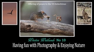 Experimenting with Photography: Wildlife  Adventure