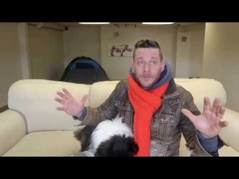 YouTube video about: Are border collies good apartment dogs?