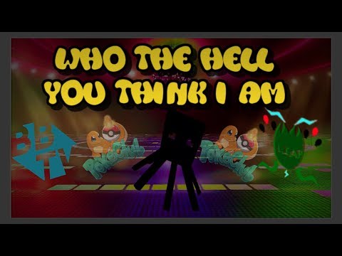 WHO THE HELL YOU THINK I AM