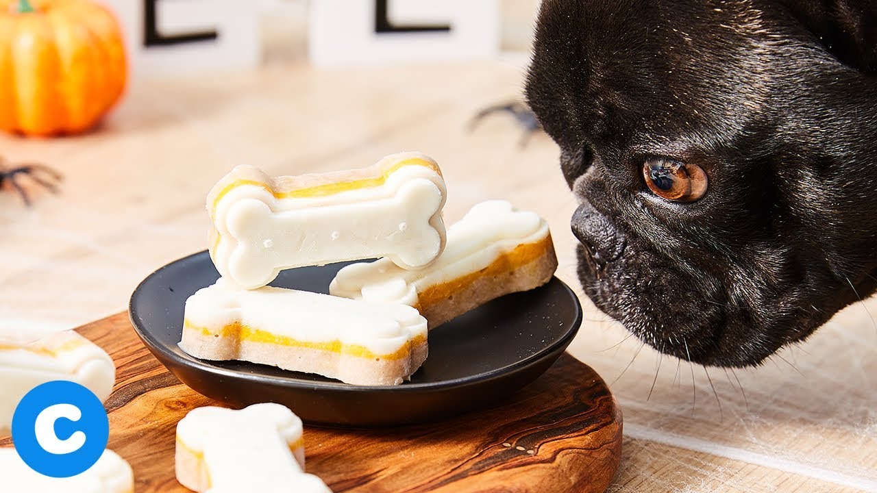 Are Plastic Candy Wrappers Bad For Dogs