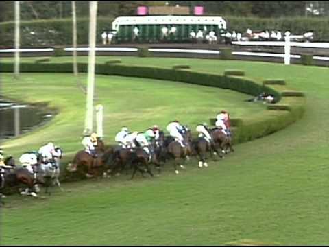 1989 Breeders' Cup Turf
