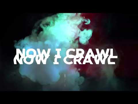 Snowface 41 - Nerved