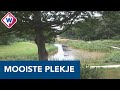 Mooiste plekje van de regio: De Spiegelvijver
