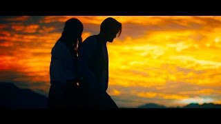 Robyn Cage - The Arsonist & The Thief