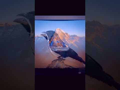 Echoes of Kailash  - कूक (infinite loop)