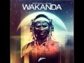 Dimitri Vegas & Like Mike - Wakanda (Wolfpack ...