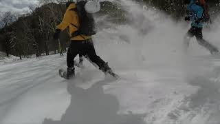 株式会社日光自然博物館