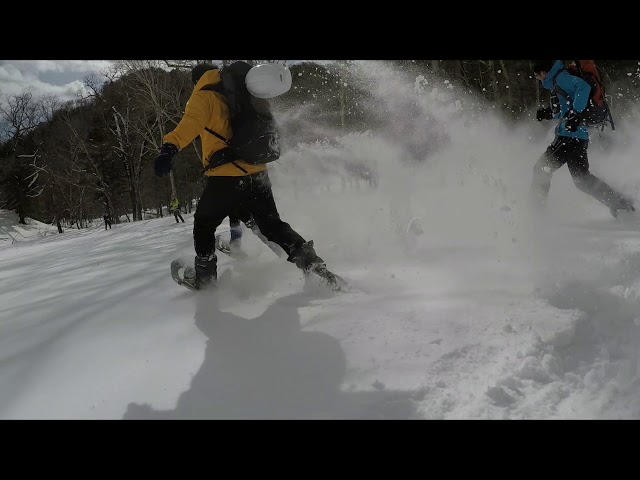 株式会社日光自然博物館