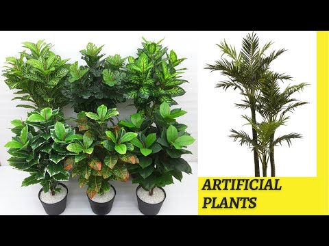 Plastic Decorative Plant