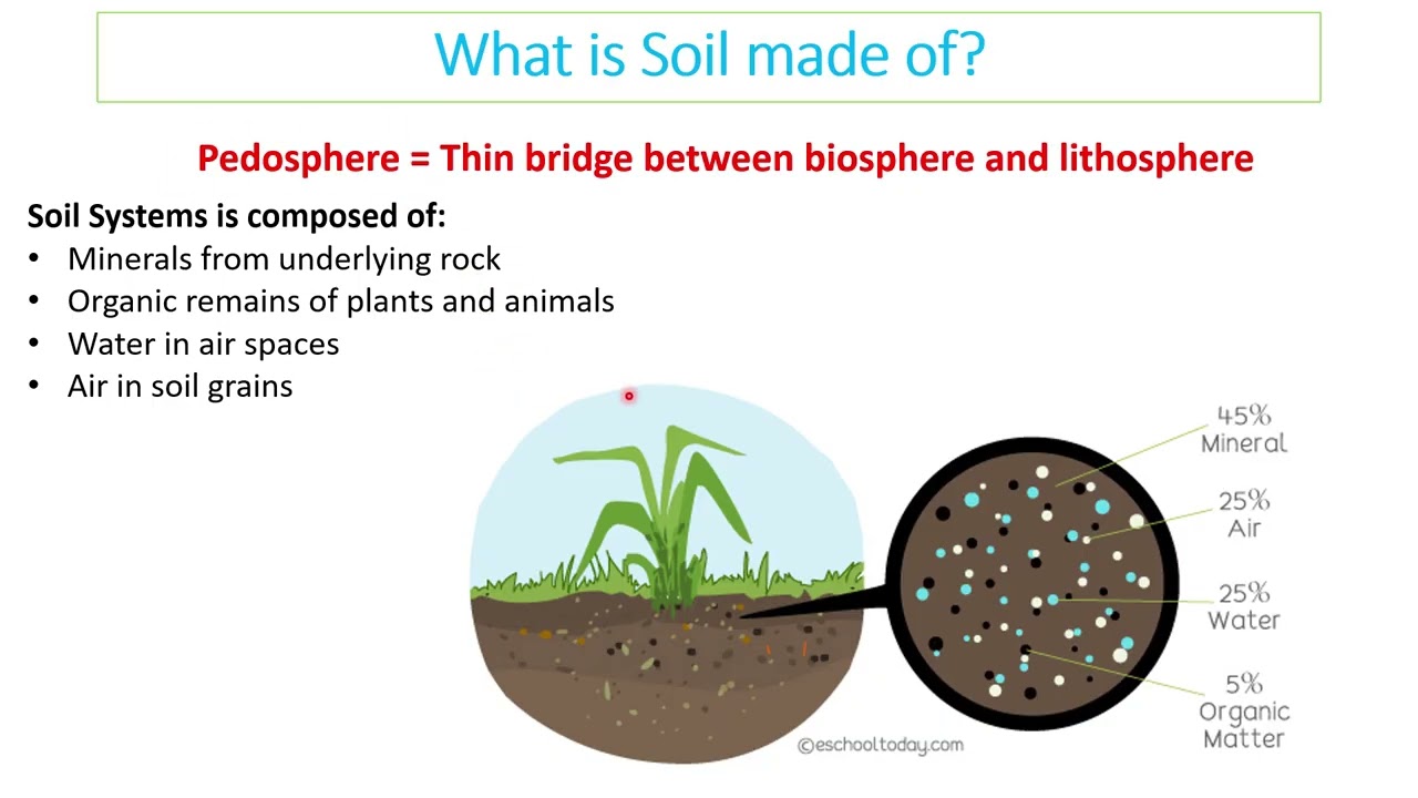 ESS Topic 5 Revision in less than 60 minutes.