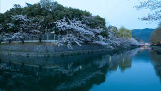 Tycho - Adrift [Dive]