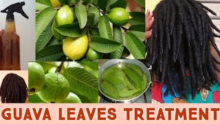 DIY || How I Use Guava Leaves Water For My Hair Growth || Dreadlocks || Home Remedy || Locs