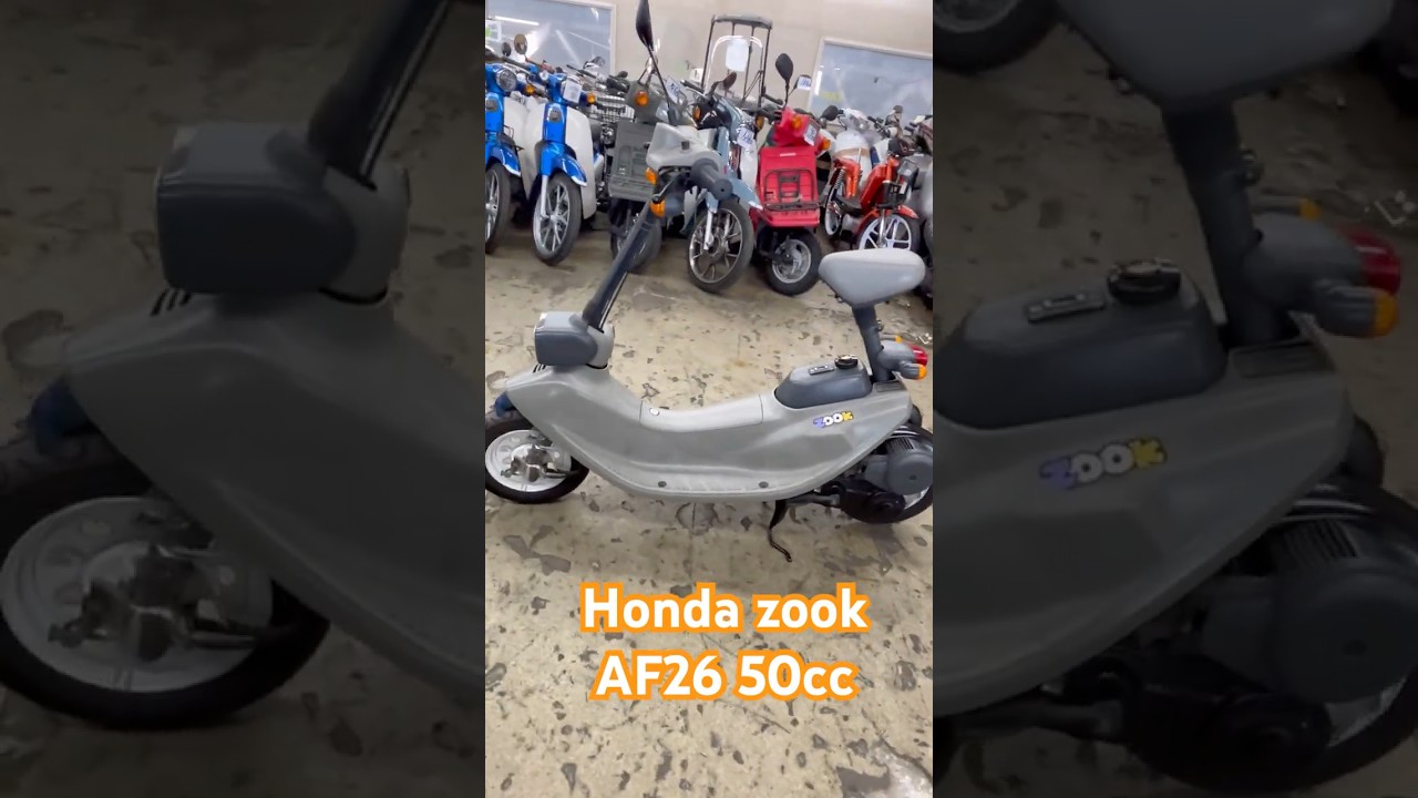 Honda zook 50cc retro JDM moped 0km $1000