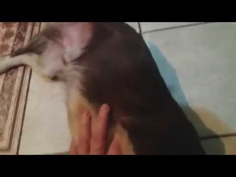 Встреча с Малышом через 5 месяцев.