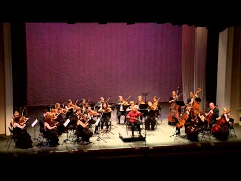 Qin Melodies Capriccio - George Gao in Concert with Novosibirsk Chamber Orchestra 3