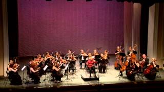 Qin Melodies Capriccio - George Gao in Concert with Novosibirsk Chamber Orchestra 3