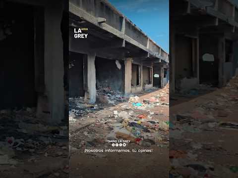 Alcaldía de Maracaibo inicia intervención de terrenos ociosos y abandonados