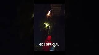 Download lagu SUDAH MEMAKAN KORBAN #trendingshorts #news #reels #tawonvespa #tawonndas #lebah #pemadam #reel mp3