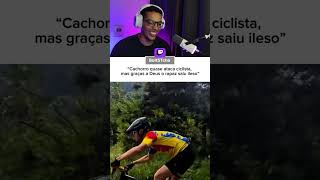 Só latiu pra não perder o costume #shorts