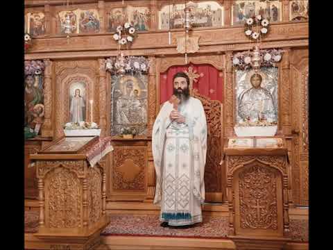 20210808 NICOLAE BALASOIU   DUMINICA A 7 A DUPA RUSALII – VINDECAREA A DOI ORBI SI A UNUI MUT