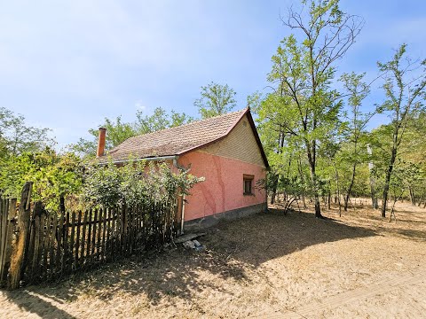 Kiskunhalas Felsőszállás tanya