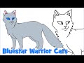 How to draw Warrior Cats Bluestar - Как нарисовать Котов ...