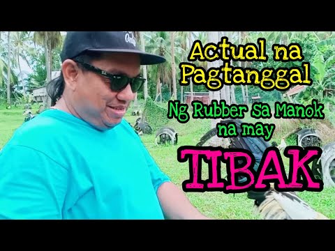 ACTUAL NA PAGTANGGAL NG RUBBER SA BUMBLE FOOT NG MANOK..... SUCCESS!!!