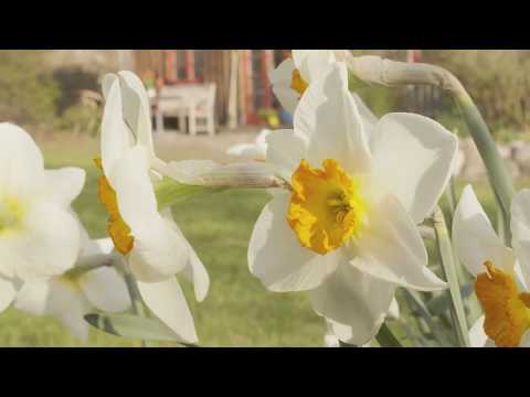 Christian K. Schütze | DER SPRECHER_Ferienhaus Rohrdommel (Müritz Nationalpark)_Imagefilm