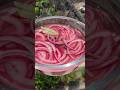 Best 5-min pickled red onion recipe