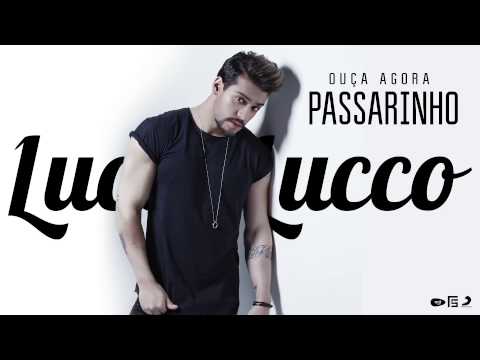 Lucas Lucco - Passarinho (DVD O Destino)