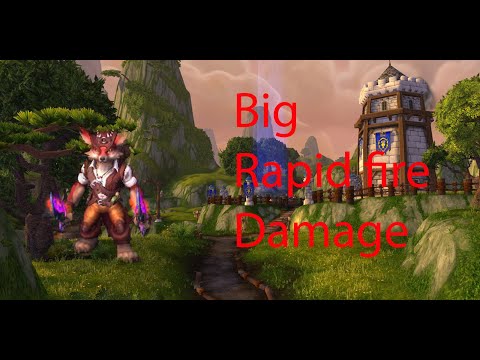 Big rapid fire damage - Marksman hunter pvp 8.3