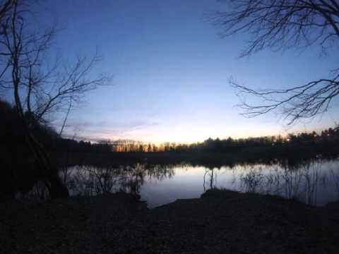 Reading, MA town forest time lapse