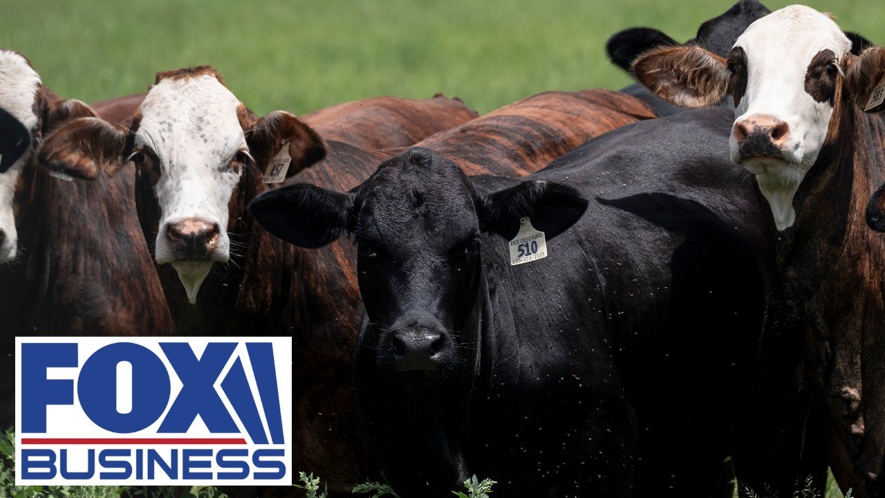 OUTBREAK RESPONSE: USDA moves quickly after screwworm detection