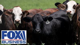 OUTBREAK RESPONSE: USDA moves quickly after screwworm detection