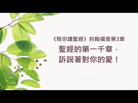 約翰福音3章/陪你讀聖經《聖經的第一千章，訴說著對你的愛！》