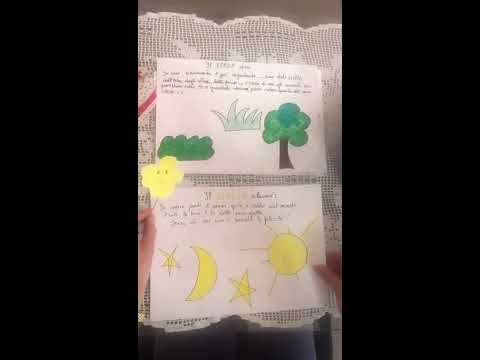 Linea diretta con la scuola
