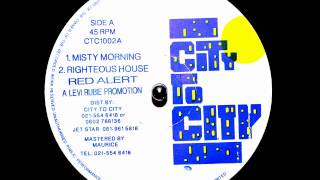 Levi Rubie - Misty Morning