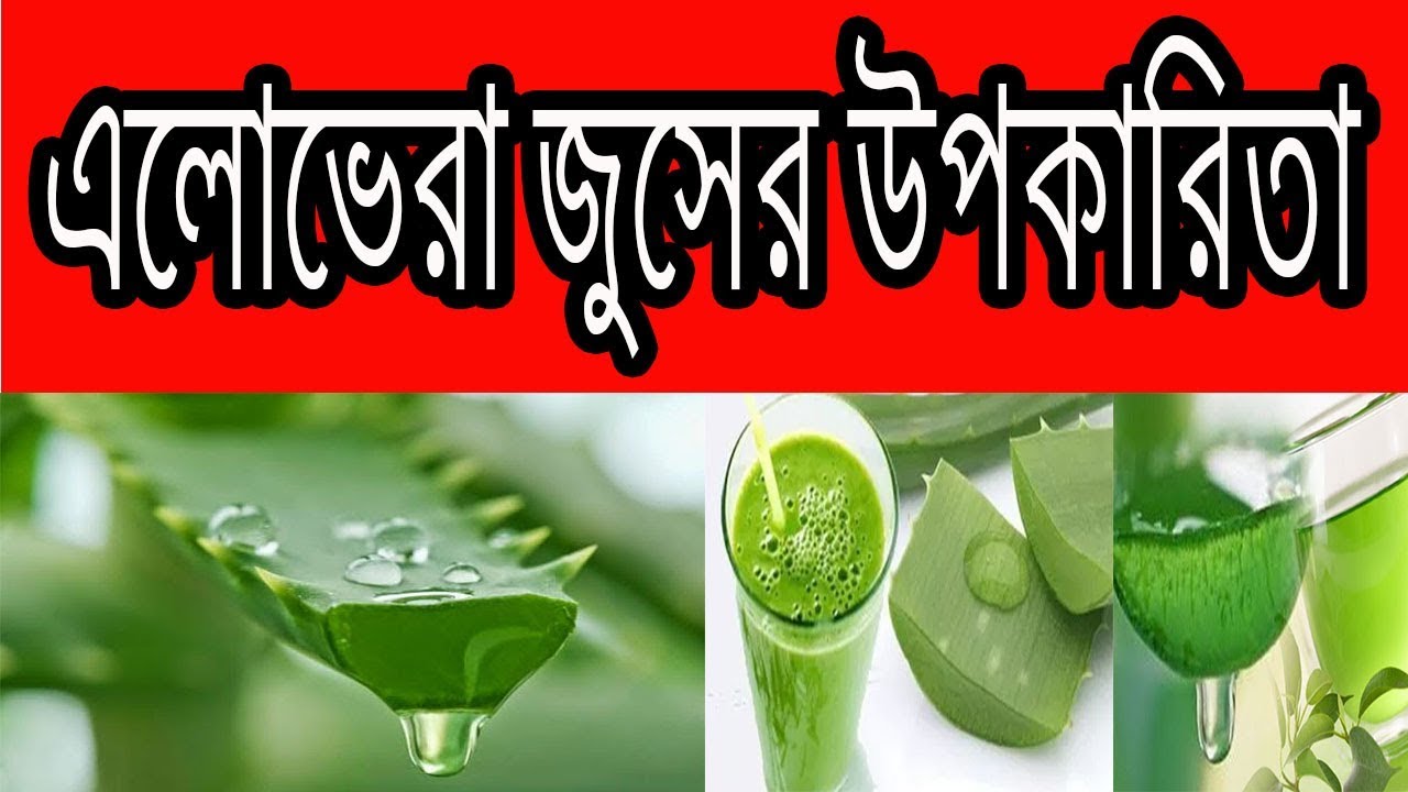 নিয়মিত এলোভেরা জুস পানের জাদুকরি উপকারিতা || Alovera Juice Ar Upokarita
