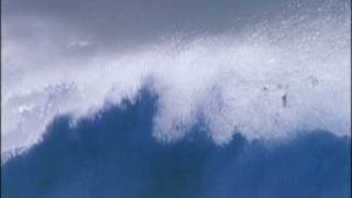 Toute Blanche Music Video