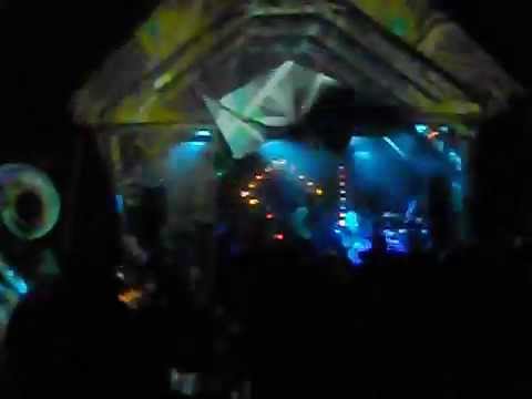 Viral Sound Killed it at Wild Woods Music and Arts Festival 2015  this is what you missed !!!