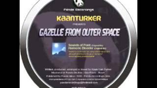 Kaanturker - Harmonic Disorder (Original Mix)