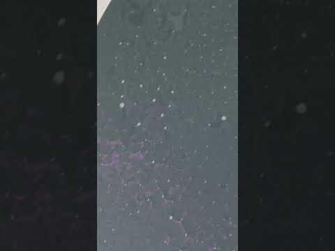 Planet Fitness - Disgusting tanning beds. - Image 2