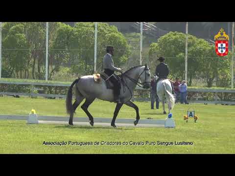 220430 Debutantes Prova de Ensino III Jornada CNET
