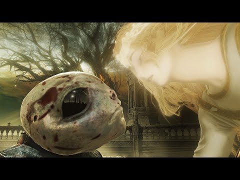 What's the deal with MIQUELLA?